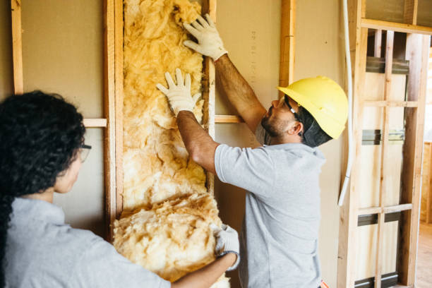 Best Insulation Inspection Services  in Akron, NY