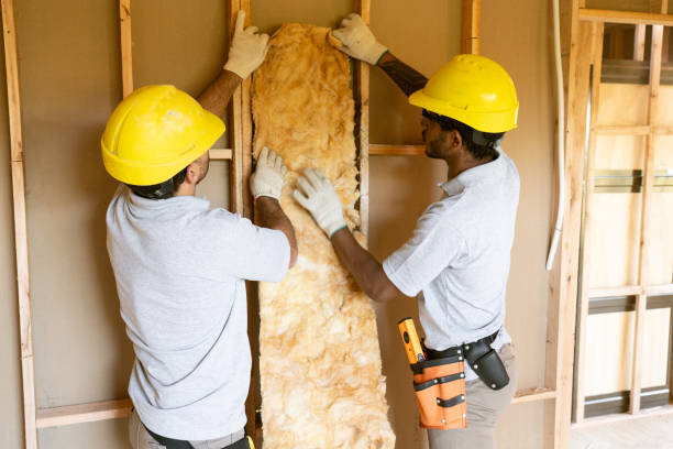 Best Insulation Repair Services  in Akron, NY
